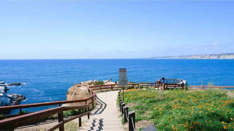 Scenic view of La Jolla coastline in San Diego with walking paths, cliffs, and Pacific Ocean—perfect for outdoor adventure seekers exploring things to do in San Diego.
